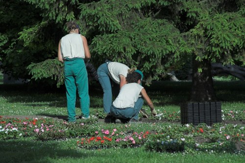 Worker trimming a hedge in a residential Turnham Green garden