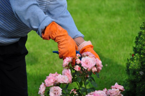 Cleared garden waste ready for recycling in an urban yard