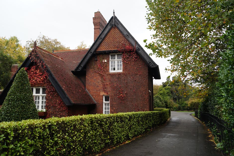 A winding garden pathway bordered by tall, neatly trimmed hedges on either side. The left hedge has dense, bright green foliage, while the right hedge appears slightly darker with a more varied leaf p